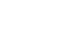 Logo DIZYGOTE